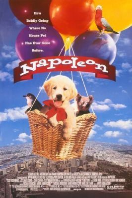 Napoleon - Kis kutya, nagy pácban (1995) online film