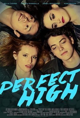 Perfect High (2015) online film
