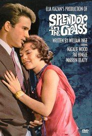 Ragyogás a fűben (1961) online film