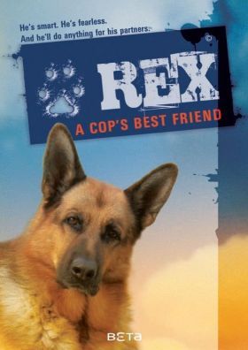Rex Rómában 8. évad (2015) online sorozat