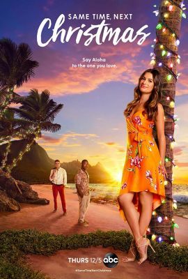Same Time, Next Christmas (2019) online film