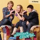Sok sikert, Charlie!  1. évad (2010) online sorozat
