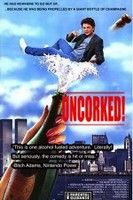 Szellem a palackból (2009) online film