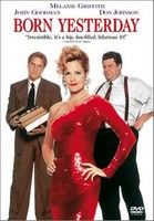 Szőke nőt nem csókolunk (Most jövök a falvédőről) (1993) online film