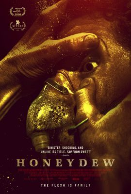 The Curse of Hobbes House (2020) online film