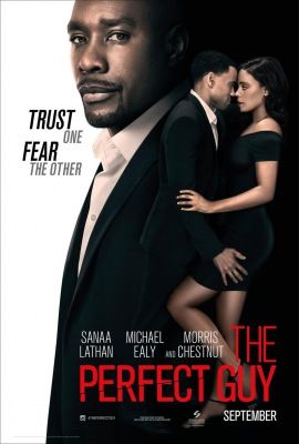 Az álompasi (The Perfect Guy) (2015) online film