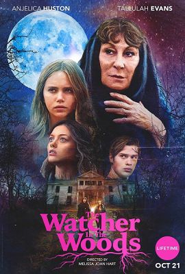 The Watcher in the Woods (2017) online film
