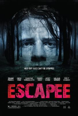 Üldözés (2011) online film