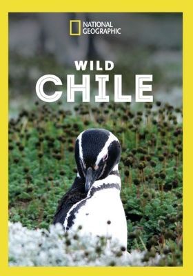 Vad Chile 1. évad (2018) online sorozat