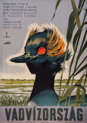 Vadvízország (1952) online film