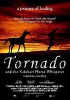 Vágtass tornádó! (2009) online film