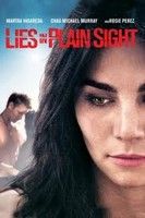Vak igazság (2010) online film