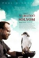 Vergődő sólyom (2006) online film