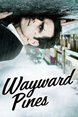 Wayward Pines 1. évad (2015) online sorozat