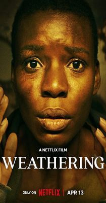 Bomlás (2023) online film