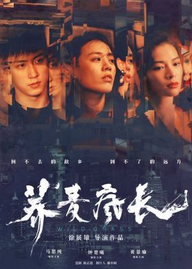 Wild Grass (2020) online film
