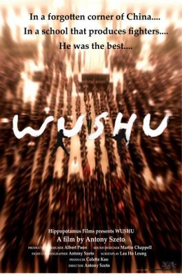 Wushu (2008) online film